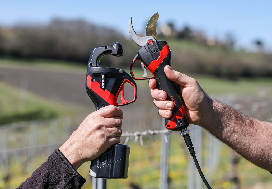 Electric pruning shears and tying machine: hard work made simple in your vineyard