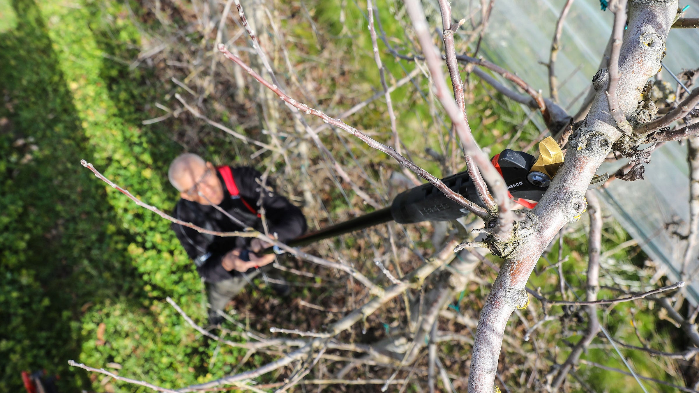 Infaco pruning extension pole