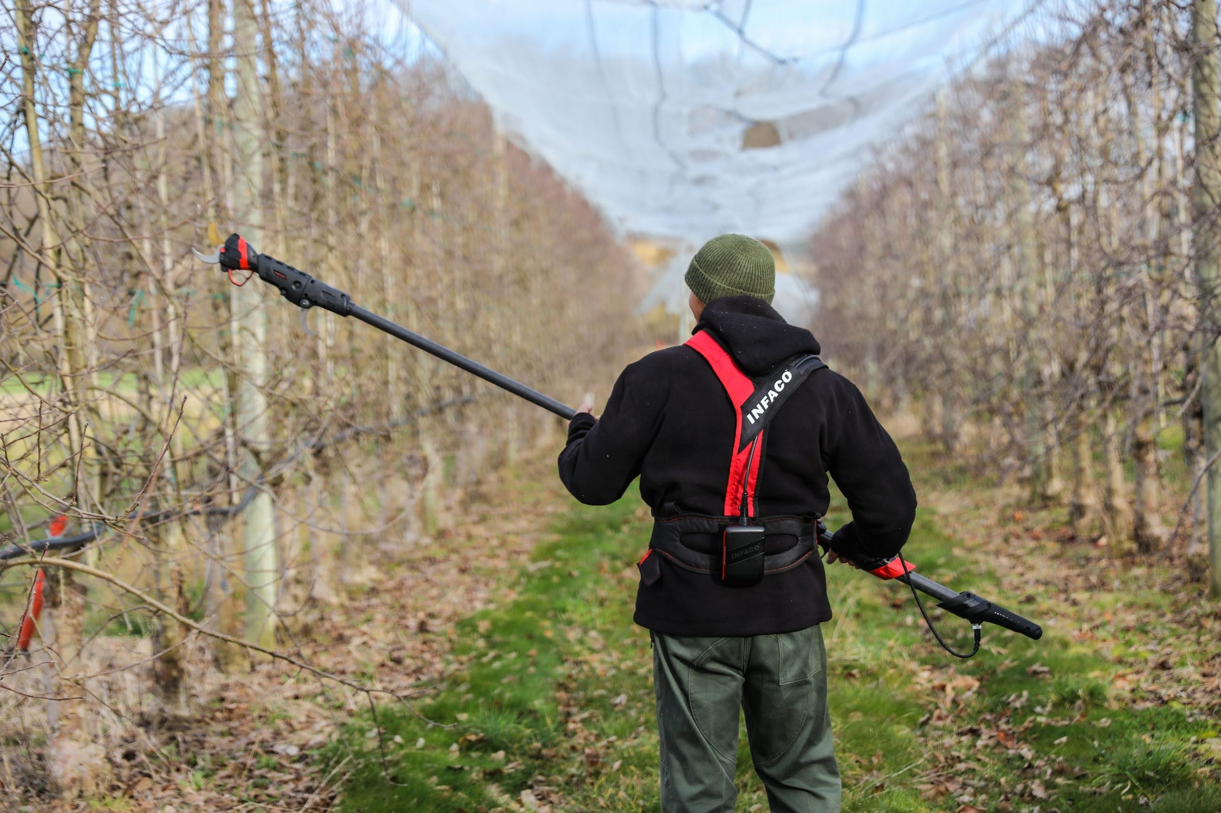 Fruit tree and orchard management tools