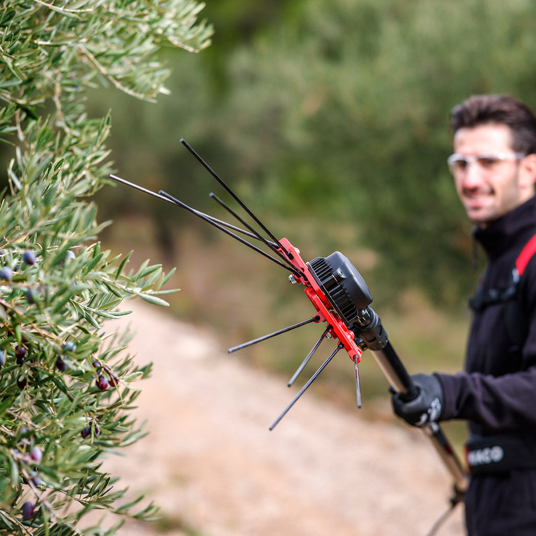 NEW! INFACO V5000 48V dedicated olive harvester