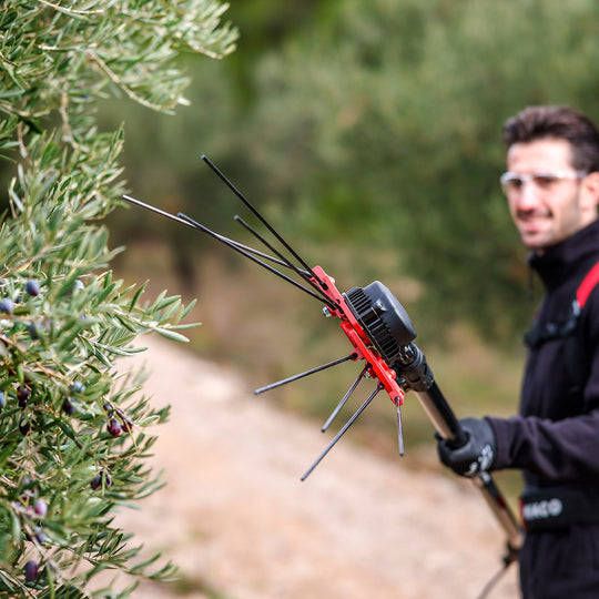 NEW! INFACO V5000 48V dedicated olive harvester