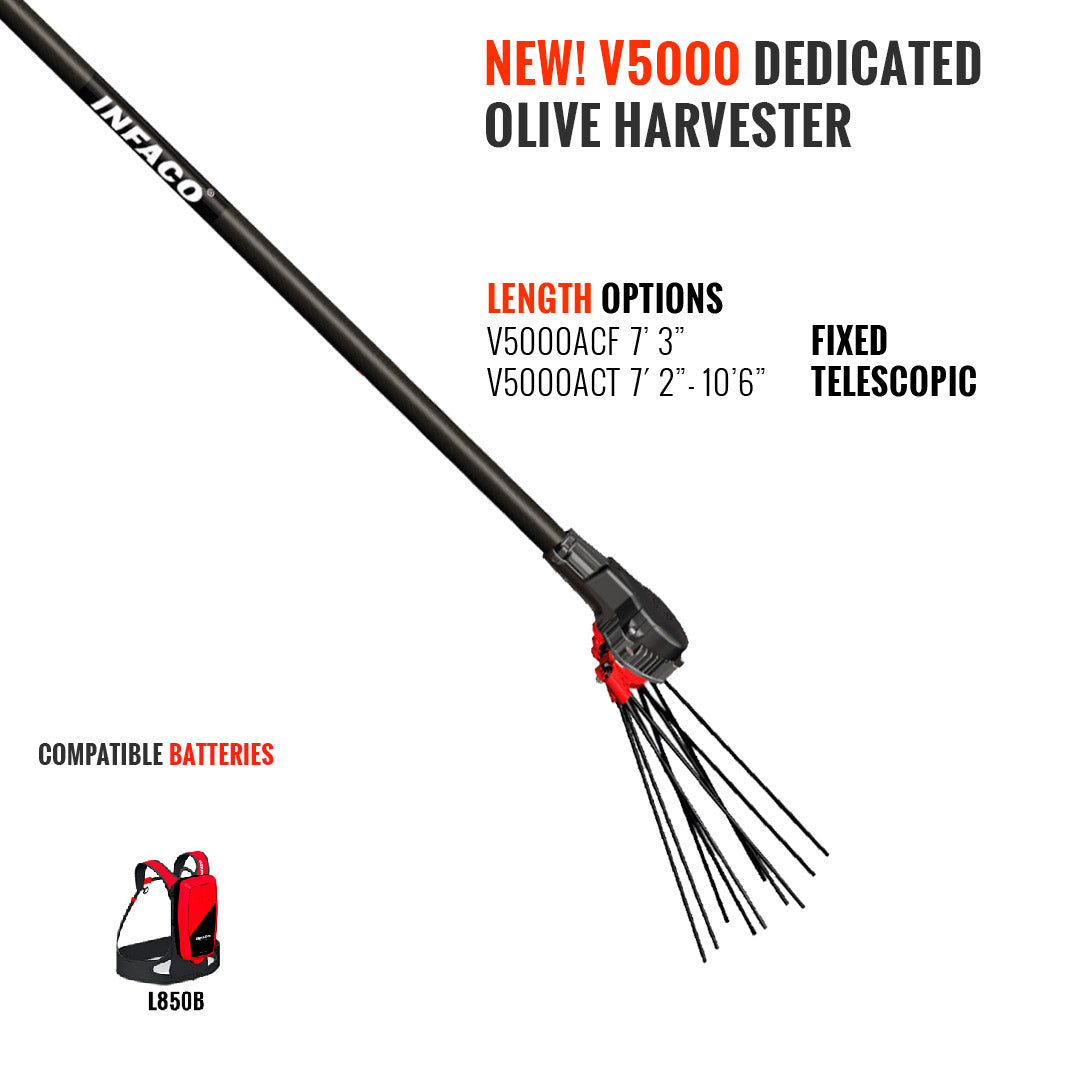 NEW! INFACO V5000 48V dedicated olive harvester