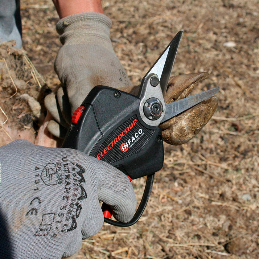 INFACO F3010 Battery powered hoof trimmer for goats and sheep