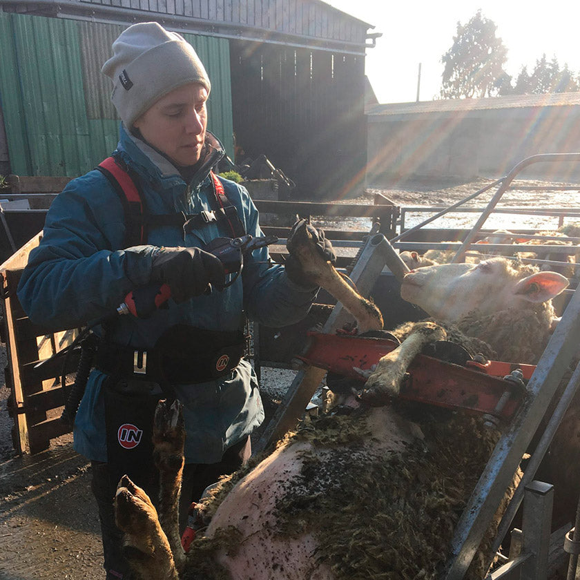 INFACO F3010 Battery powered hoof trimmer for goats and sheep