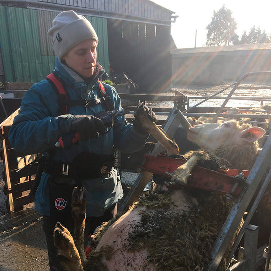 INFACO F3010 Battery powered hoof trimmer for goats and sheep