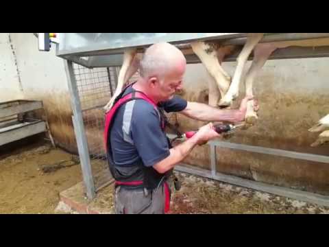 INFACO F3010 Battery powered hoof trimmer for goats and sheep