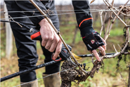 Pruner Inco Electric pruners: the power tool you never knew you needed – INFACO USA