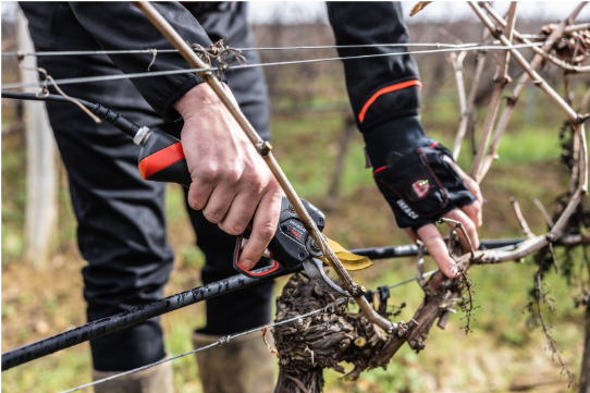 Effortless pruning for your vineyard.