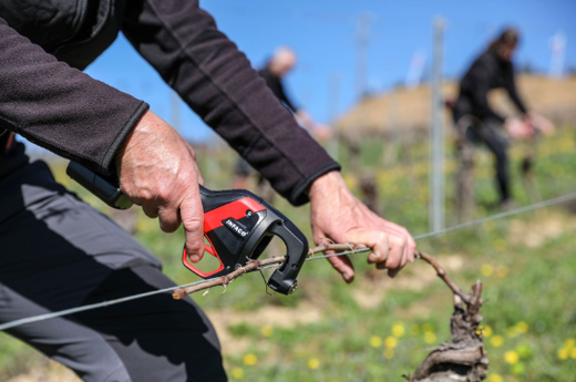 Plant Tying Machine: fast & easy plant support