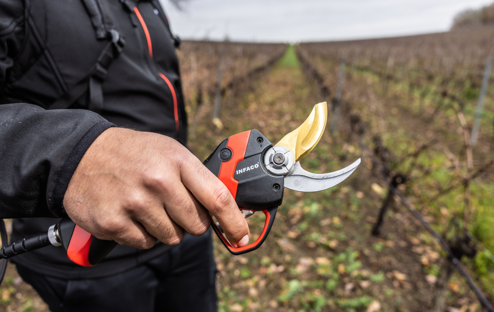 Boost vineyard efficiency this season with the F3020 electric pruning shears