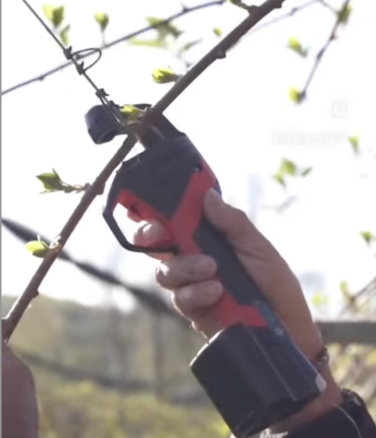 Top time-saving tips for orchard tying using the AT1000 tool