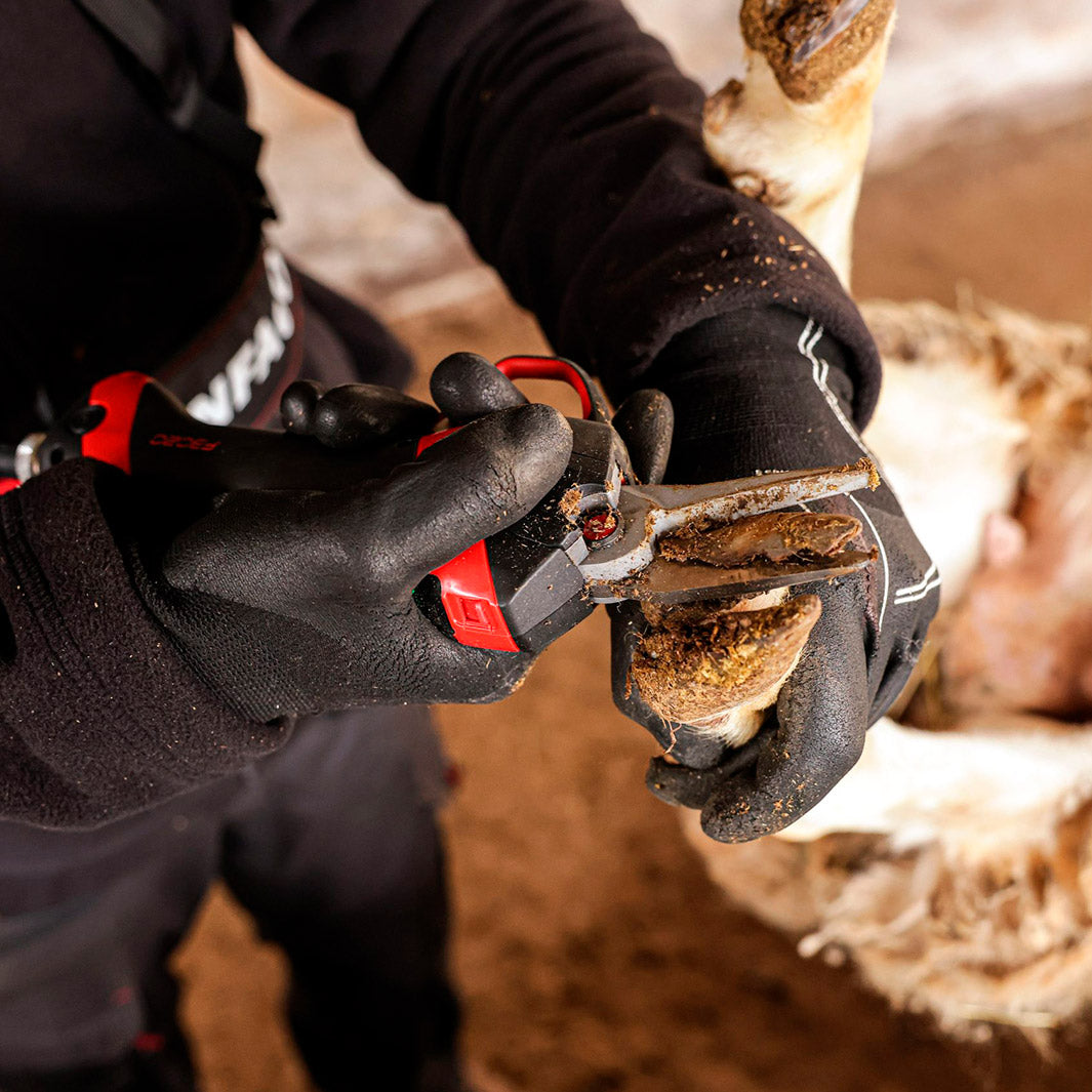 The hidden benefit: how the F3020 simplifies hoof trimming