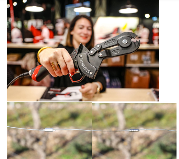 Fencing a vineyard or orchard? Why the F3020 fencing head is the smartest choice