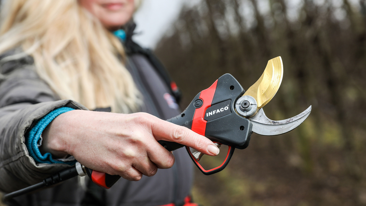 Infaco INFACO professional electric pruning shears – INFACO USA