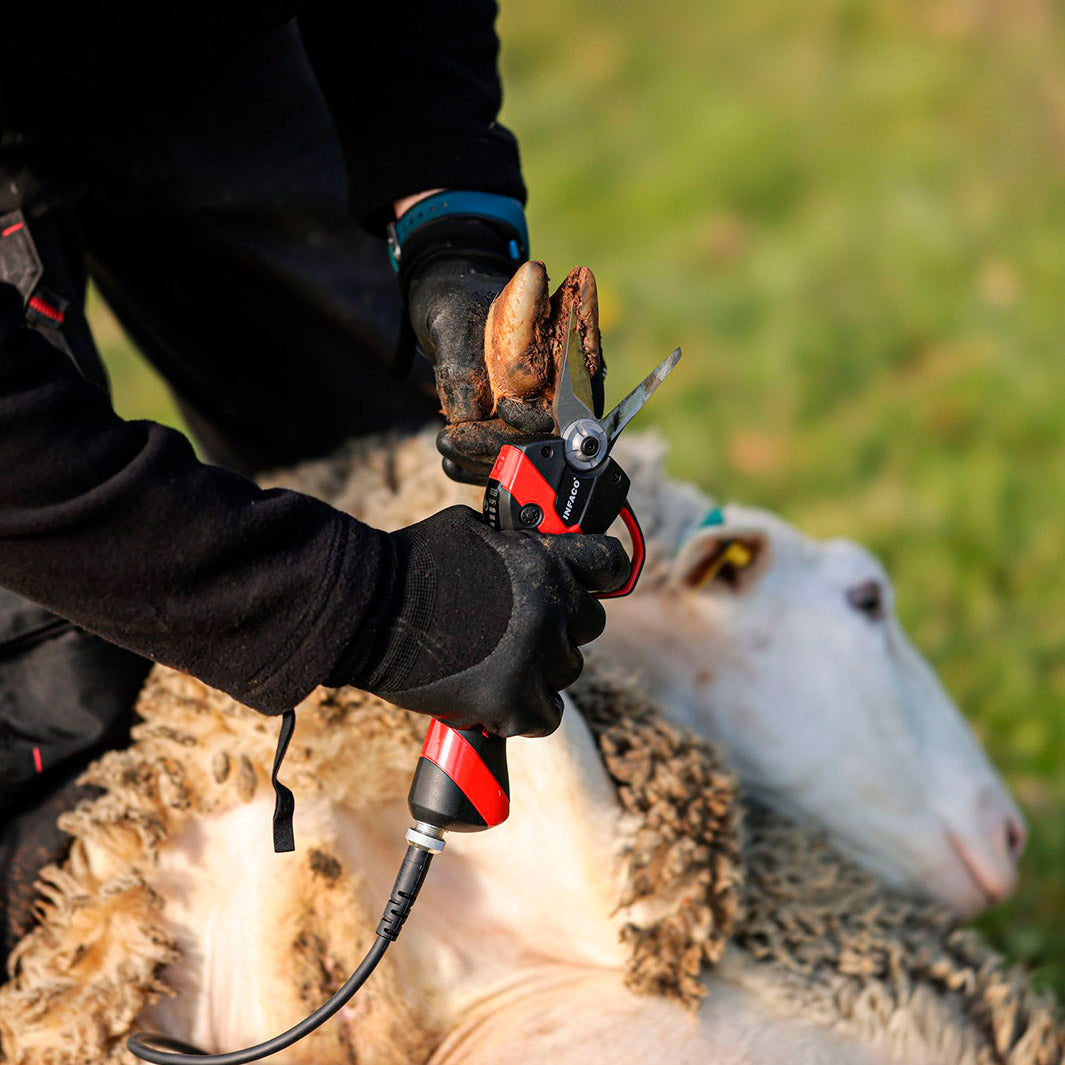Goat Head Machine INFACO F3020 Battery powered hoof trimmer kit for goats and sheep