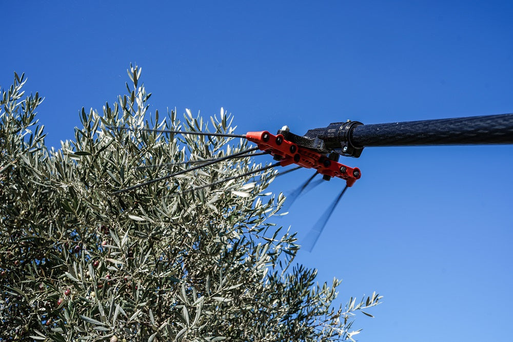 INFACO PW3 Telescopic olive harvester complete set