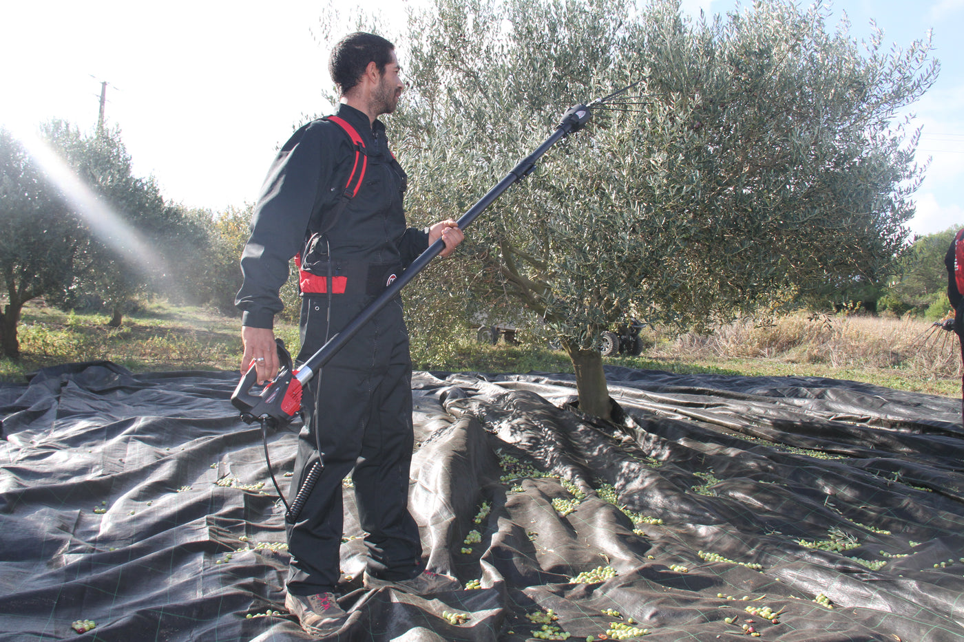REFURBISHED INFACO PW2 Olive harvester rake attachment