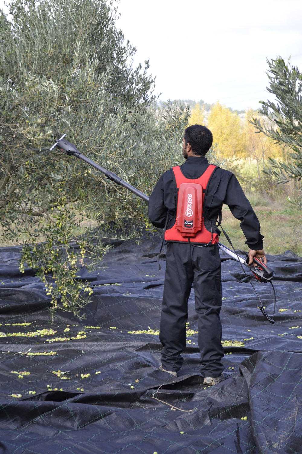 REFURBISHED INFACO PW2 Olive harvester rake attachment