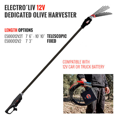 INFACO 12V Electro´liv dedicated olive harvester and battery cable