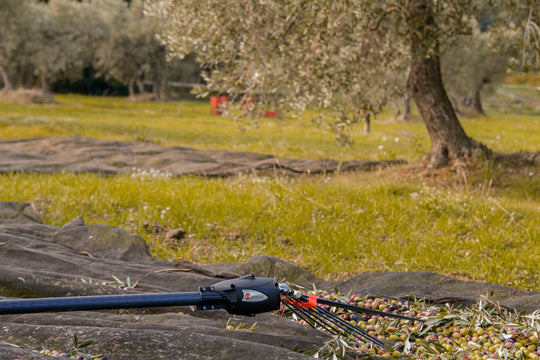 INFACO 12V Electro´liv dedicated olive harvester and battery cable