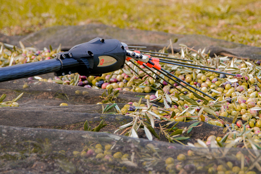 INFACO 48V Electro´liv dedicated olive harvester