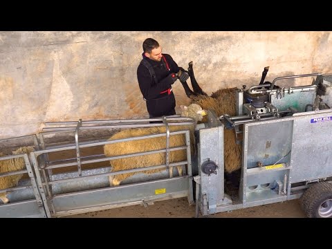 INFACO F3020 Battery powered hoof trimmer kit for goats and sheep