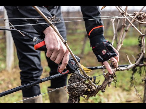 INFACO Wireless safety system for F3020 pruning shear