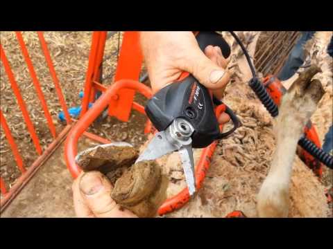 INFACO F3010 Battery powered hoof trimmer for goats and sheep