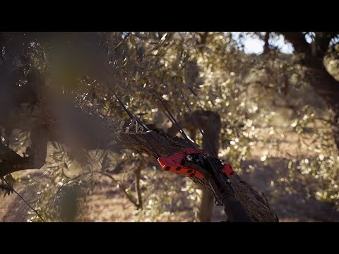 INFACO PW3 Olive harvester rake attachment