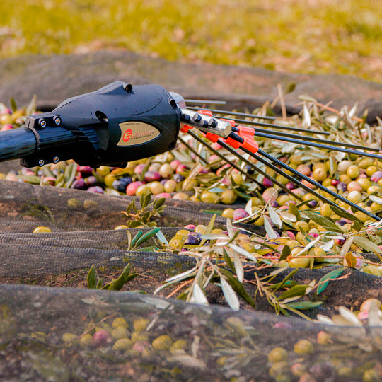 INFACO PW3 Olive harvester rake attachment