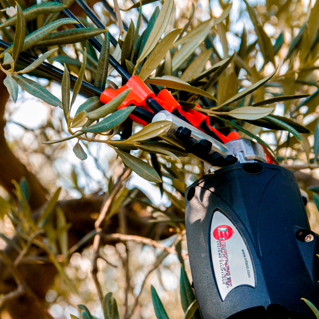 INFACO PW3 Olive harvester rake attachment