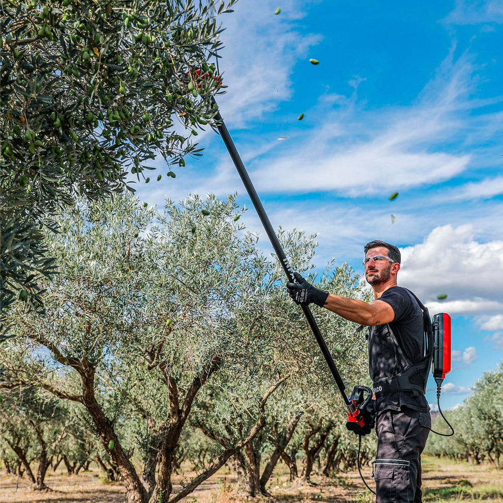 INFACO PW3 Olive harvester rake attachment