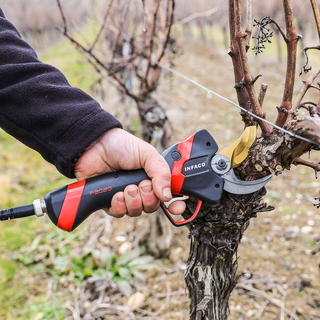 Pruning tools for vine