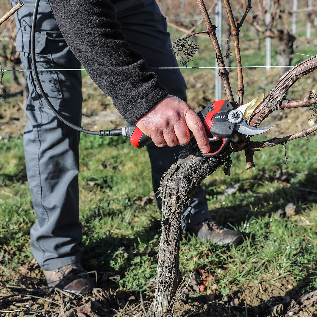 INFACO F3020 Professional battery powered pruning shear – INFACO USA